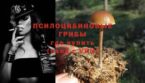 героин Алзамай