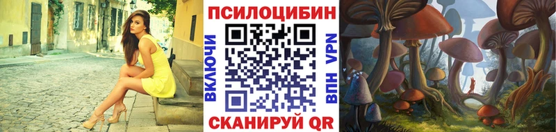 Псилоцибиновые грибы GOLDEN TEACHER  Тавда 